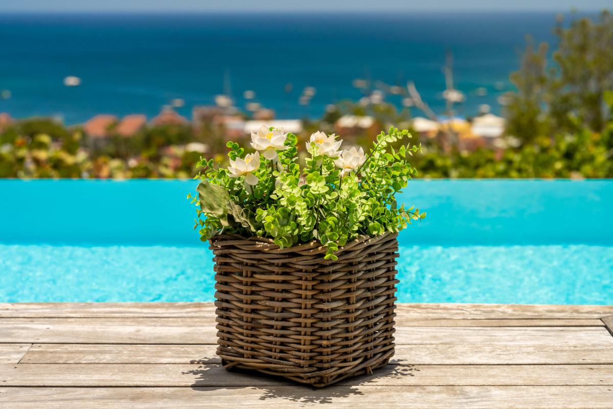 Location villa 4 chambres 8 personnes  -piscine fleur detail